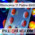 Rhinocéros 11 Platine 9000 06